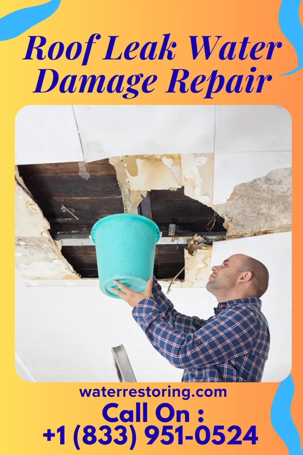 Roof Leak Water Damage Repair in Manchester, KY