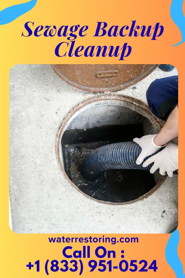 Sewage Backup Cleanup in Manchester, KY