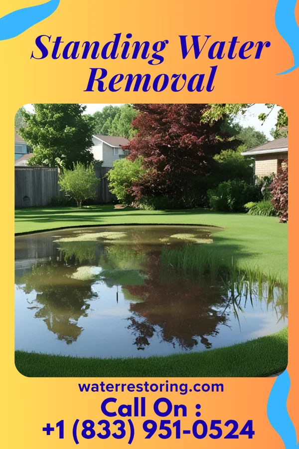 Standing Water Removal in Manchester, KY